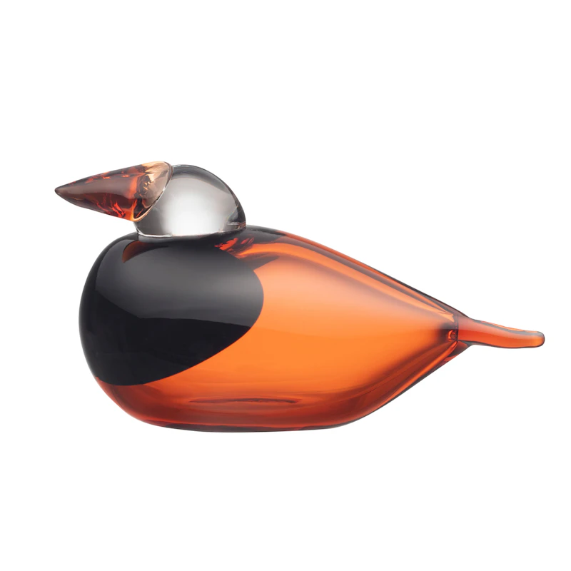 Dronningfiskeren, Orange